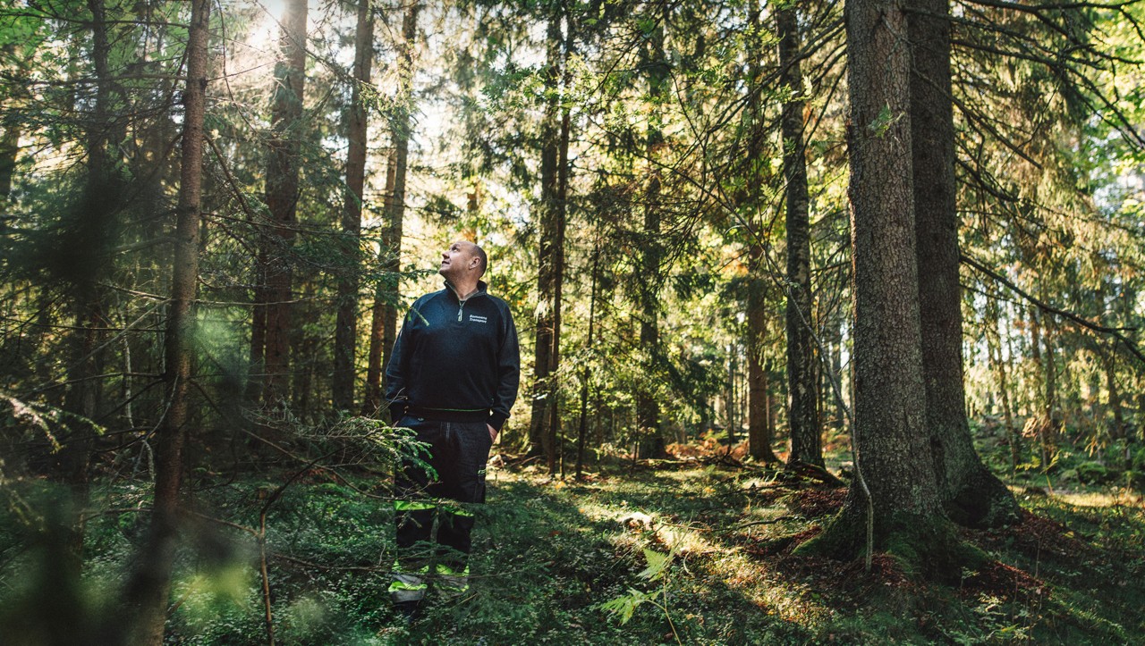 Bert Johansson in the forest